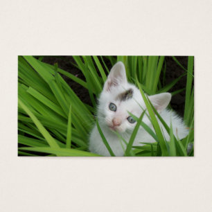 Kätzchen in der Grass Business Card