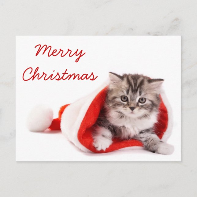 Kätzchen in der Weihnachtsmannmütze Feiertagspostkarte (Vorderseite)