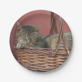 Kätzchen in einem Korbpapier Pappteller