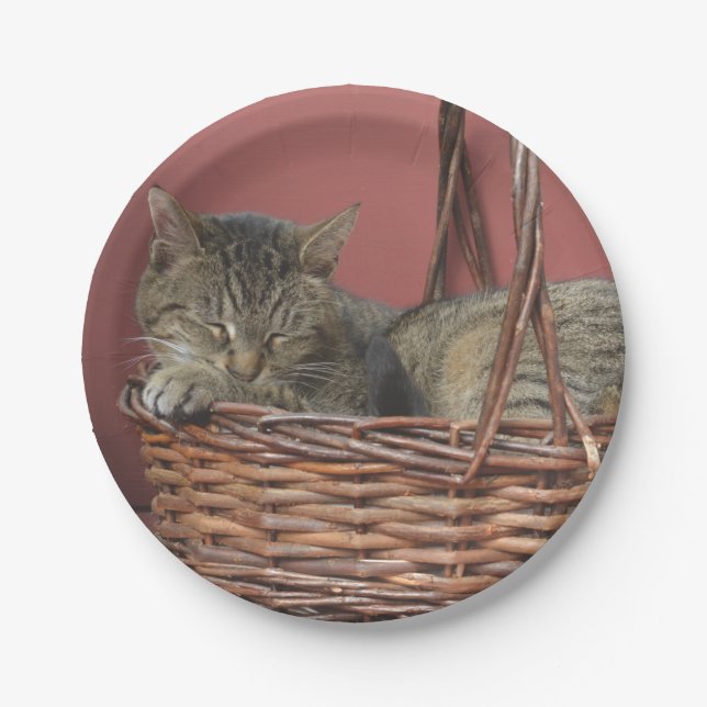 Kätzchen in einem Korbpapier Pappteller (Vorderseite)