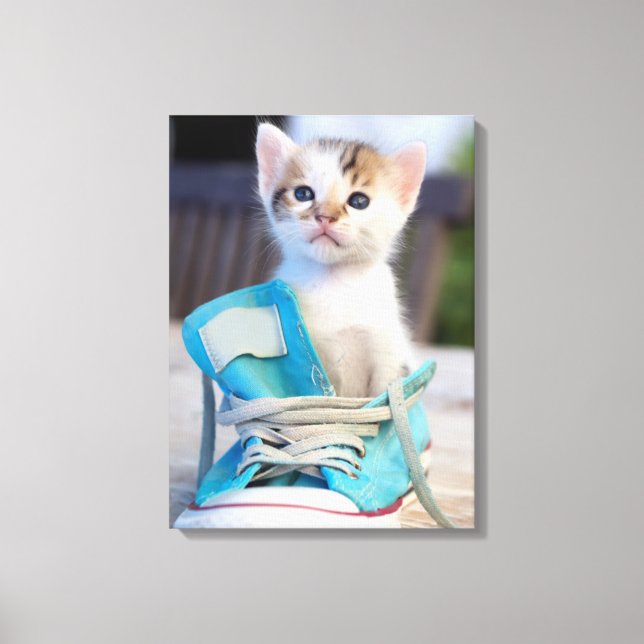 Kätzchen in einem Schuh Leinwanddruck (Vorderseite)