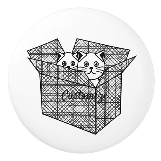 Kätzchen in einer Box mit Thunder_Cove Keramikknauf (Vorderseite)