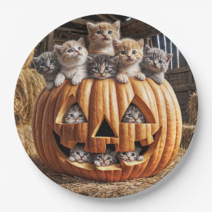 Kätzchen in Halloween-Kürbis Pappteller