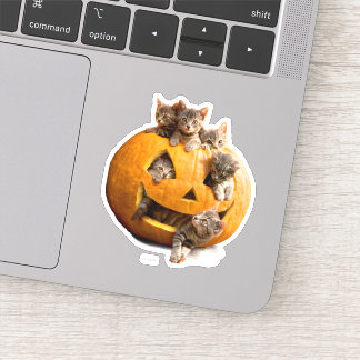 Kätzchen in Jack-o-Lantern Aufkleber
