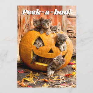 Kätzchen in Jack-o-Lantern Einladung