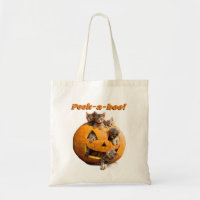 Kätzchen in Jack-o-Lantern