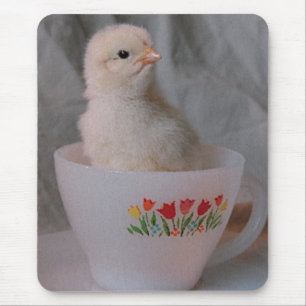 Kätzchen in Vintagem Teacup Mousepad