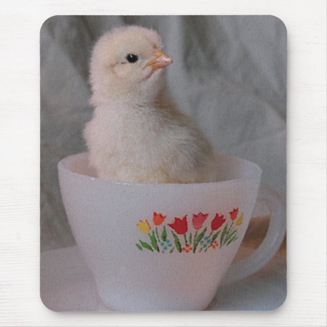 Kätzchen in Vintagem Teacup Mousepad (Vorne)