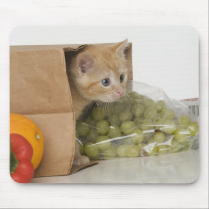 Kätzchen innerhalb der Einkaufstüte Mousepad