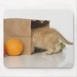 Kätzchen innerhalb der Einkaufstüte Mousepad