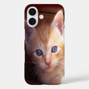 Kätzchen iPhone 16 Hülle