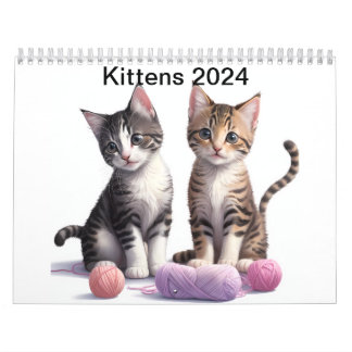 Kätzchen Kalender 2024