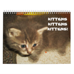 KÄTZCHEN, KÄTZCHEN, KÄTZCHEN! Kalender