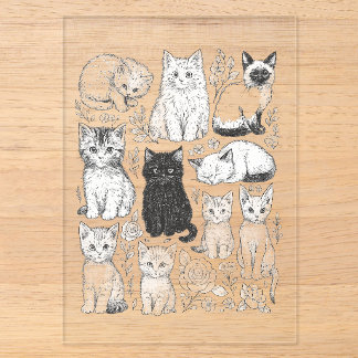 Kätzchen, Katze, Tier, süß, verspielt, handgezeich Acryleinladungen