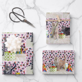 Kätzchen! (Katzen) Buffington und Patton's Geburts Geschenkpapier Set