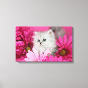 Kätzchen, Katzen, Rosa, Polka-Punkte Leinwanddruck