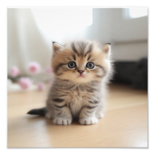 Kätzchen-Kinderzimmer & Kinderzimmer Drucke