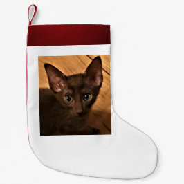 Kätzchen Kleiner Weihnachtsstrumpf