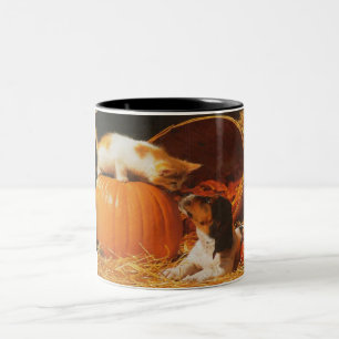 Kätzchen, Kürbis und Welpe Zweifarbige Tasse