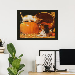 Kätzchen, Kürbis und Welpen drucken Poster