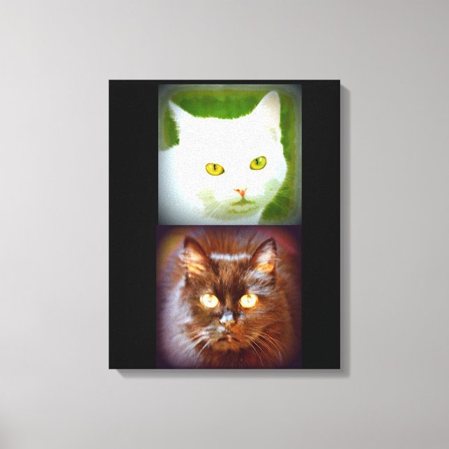 Kätzchen Leinwanddruck (Vorderseite)