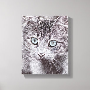 Kätzchen Liebe Süße Katze Mit Leuchtend Blauen Aug Leinwanddruck