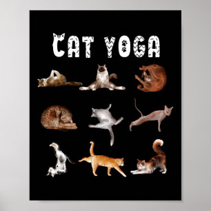 Kätzchen Lustige Katzenliebhaber Yoga-Posen Männer Poster