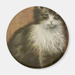 Kätzchen Magnet