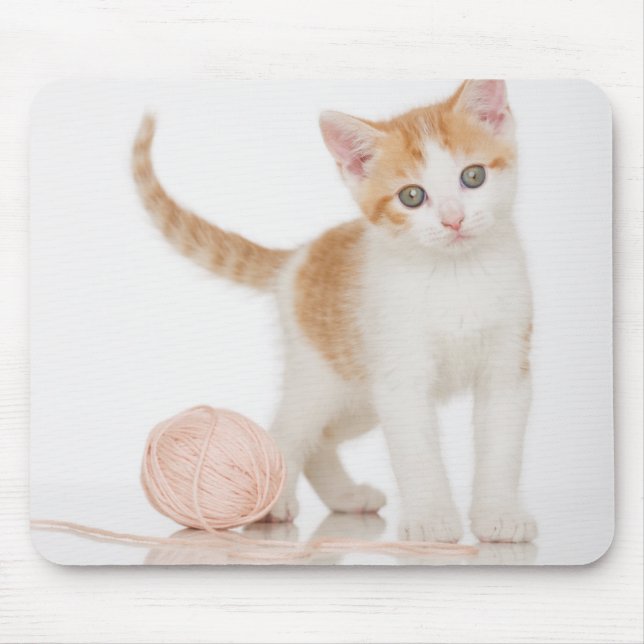 Kätzchen nahe bei Ball der Schnur Mousepad (Vorne)