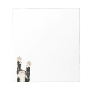 Kätzchen Notizblock