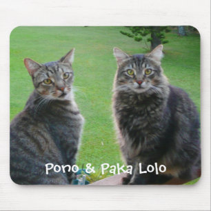 Kätzchen Pono u. Paka Lolo Mousepad