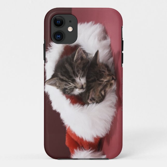 Kätzchen schlafend zusammen im Weihnachtshut Case-Mate iPhone Hülle (Rückseite)