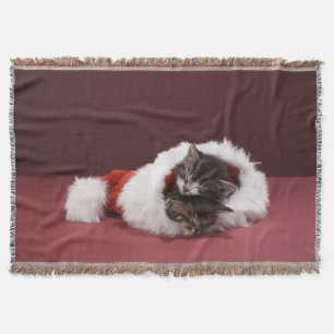 Kätzchen schlafend zusammen im Weihnachtshut Decke