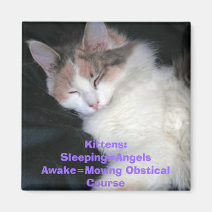 Kätzchen: Sleeping=AngelsAwake=Moving Obstical Co Magnet