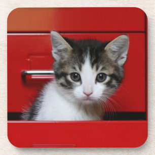 Kätzchen-Spähen Untersetzer