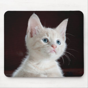Kätzchen-Süsse Mousepad