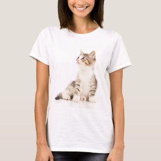Kätzchen T-Shirt