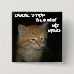 Kätzchen "TYP, STOPP BLOWIN' MY MIND" Schaltfläche Button