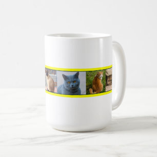 Kätzchen überall kaffeetasse