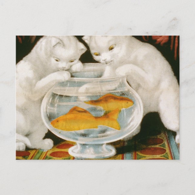 Kätzchen und Goldfisch Postkarte (Vorderseite)
