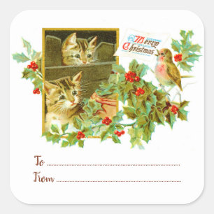 Kätzchen und Robin   Vom Weihnachtsgeschenk des Ja Quadratischer Aufkleber