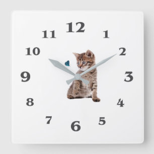 Kätzchen und Schmetterlingsbild für die Quadrat-Wa Quadratische Wanduhr