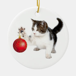Kätzchen- und Weihnachtsball Keramikornament