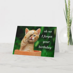Kätzchen vergaß Geburtstag Karte