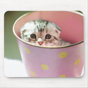 Kätzchen-Verstecken Mousepad