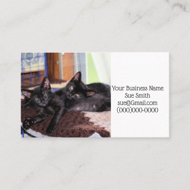 Kätzchen Visitenkarte (Vorderseite)