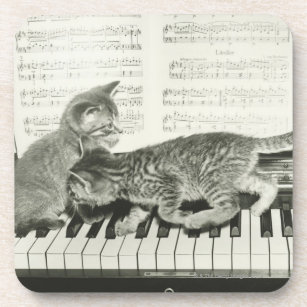 Kätzchen zwei, das auf Klaviertastatur spielt, Untersetzer
