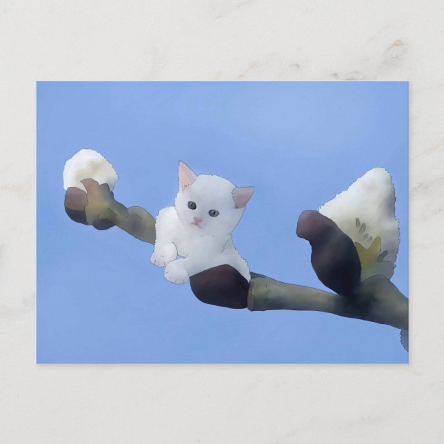 Kätzchenfrühling Postkarte (Vorderseite)
