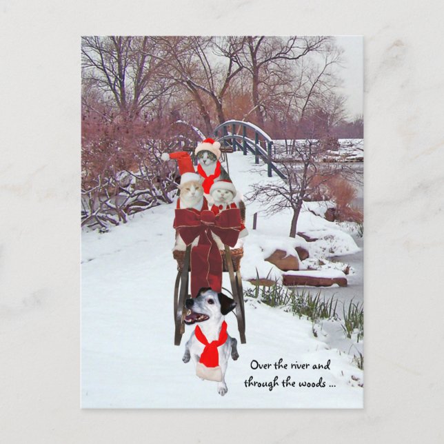 Kätzchens Sleigh Ride Postkarte (Vorderseite)