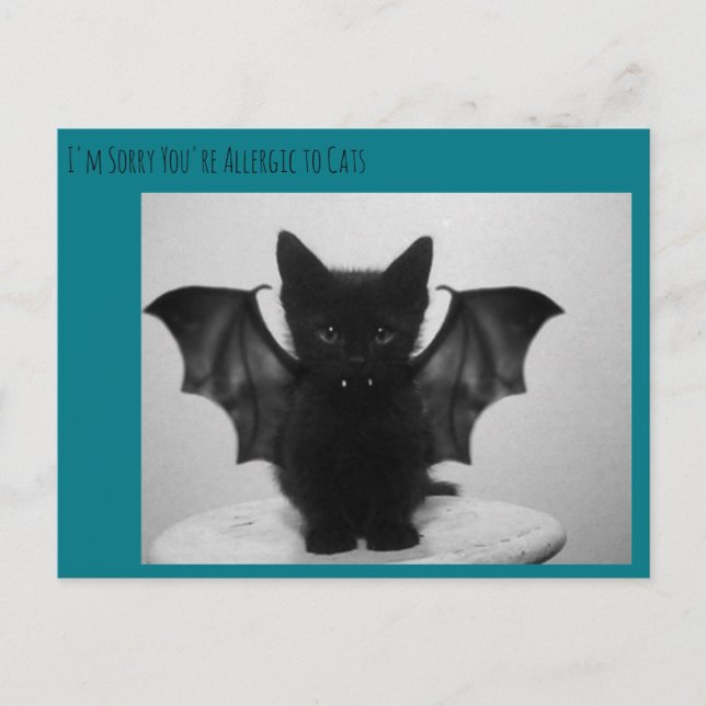 Kätzchenschläger Postkarte (Vorderseite)